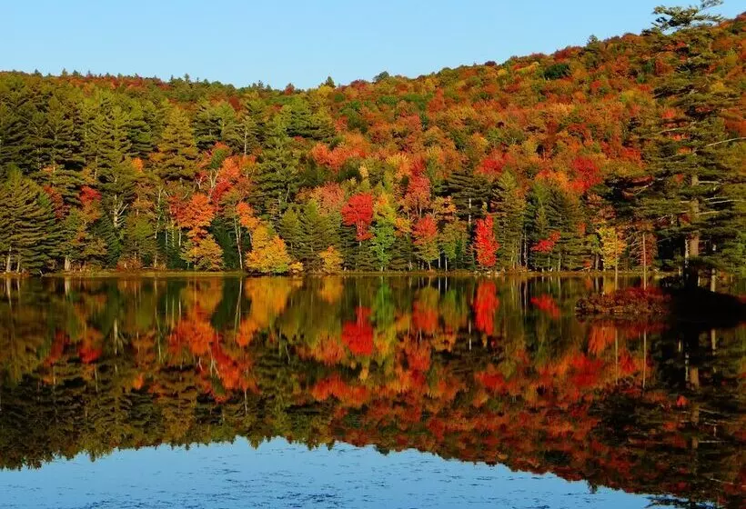 Aamiaismajoitus (B&B) Blue Gentian Lodge At Magic Mountain