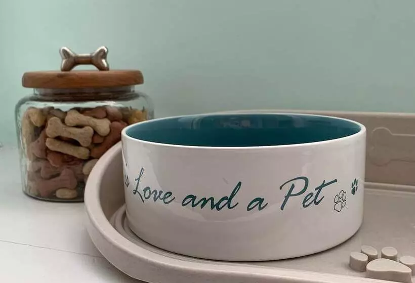 Aamiaismajoitus (B&B) Evangelisa