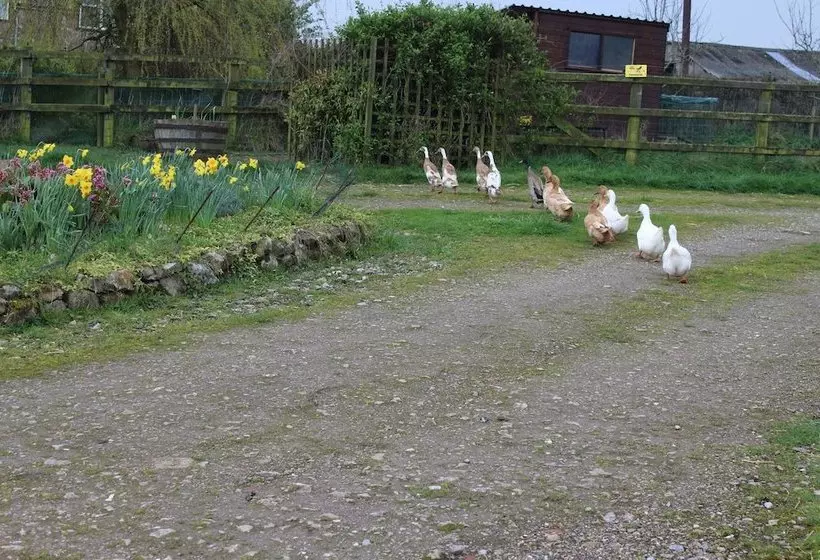 Greenacres B & B