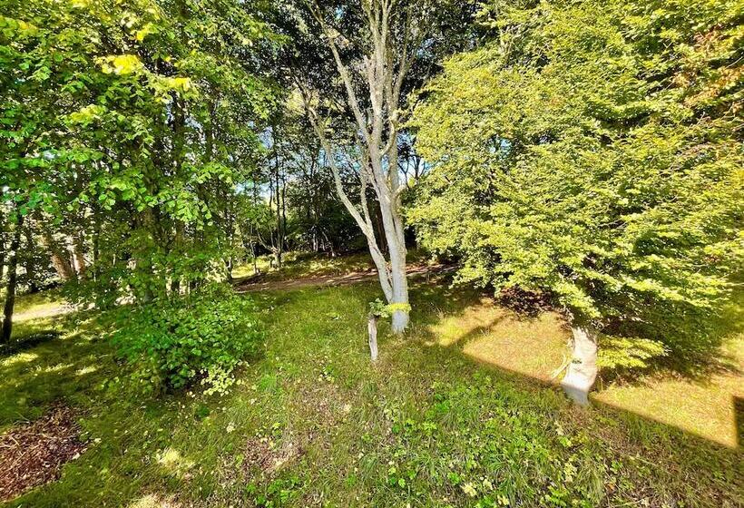 בית מלון כפרי Navidale House Bed, Breakfast & Bar