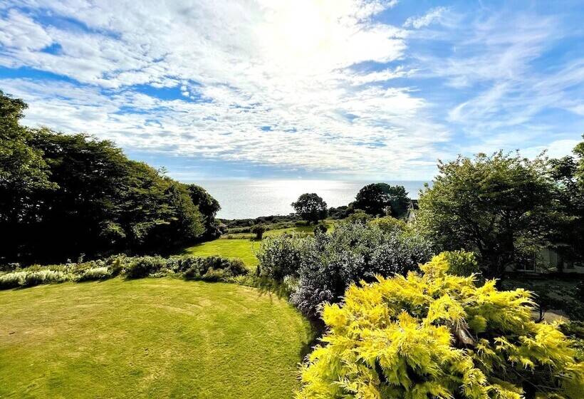 בית מלון כפרי Navidale House  Bed, Breakfast & Bar