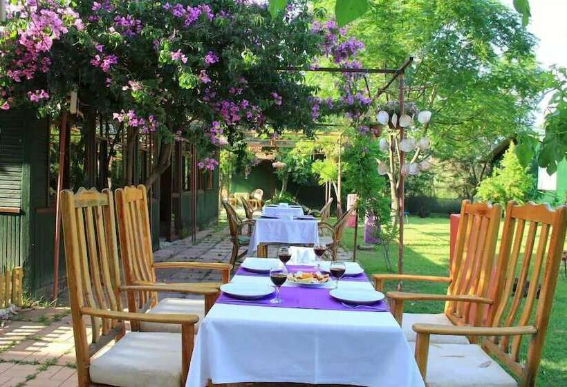 هتل Esralina Pansiyon