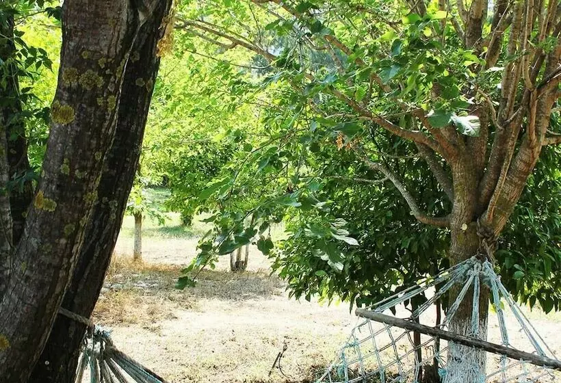 Hotelli Esralina Pansiyon