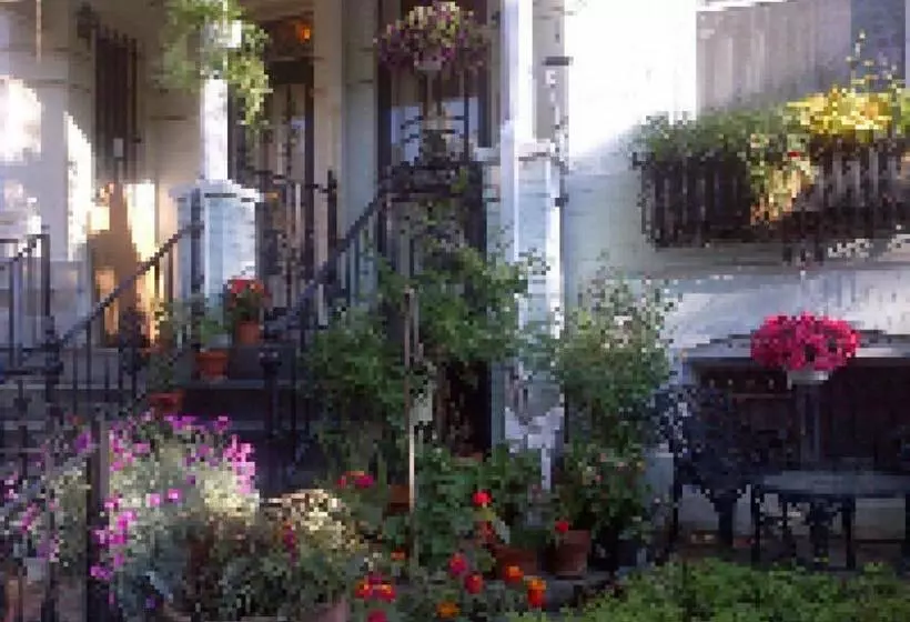 Ledroit Park Renaissance Bed And Breakfast