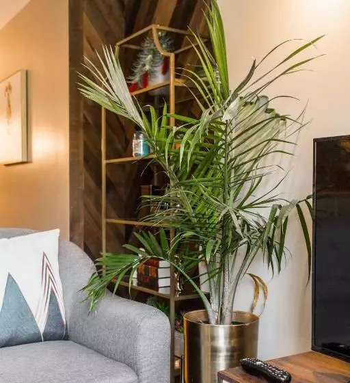 پانسیون Villa Dubois Guest House