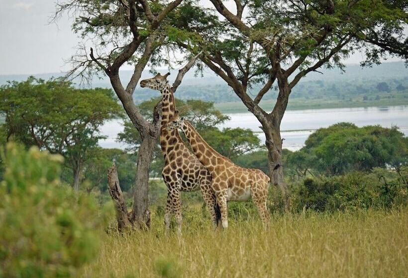 הוסטל Murchison Backpackers