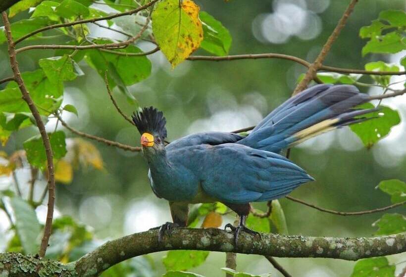 הוסטל Murchison Backpackers