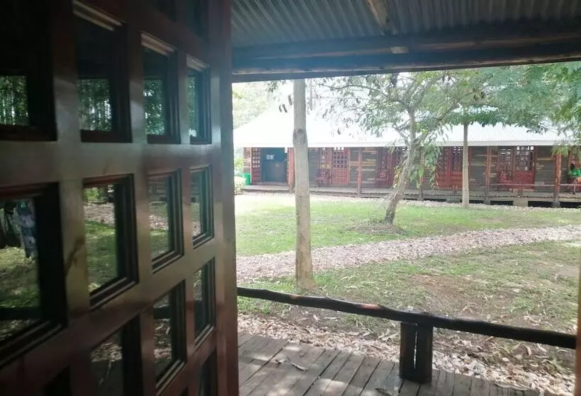 هاستل Murchison Backpackers