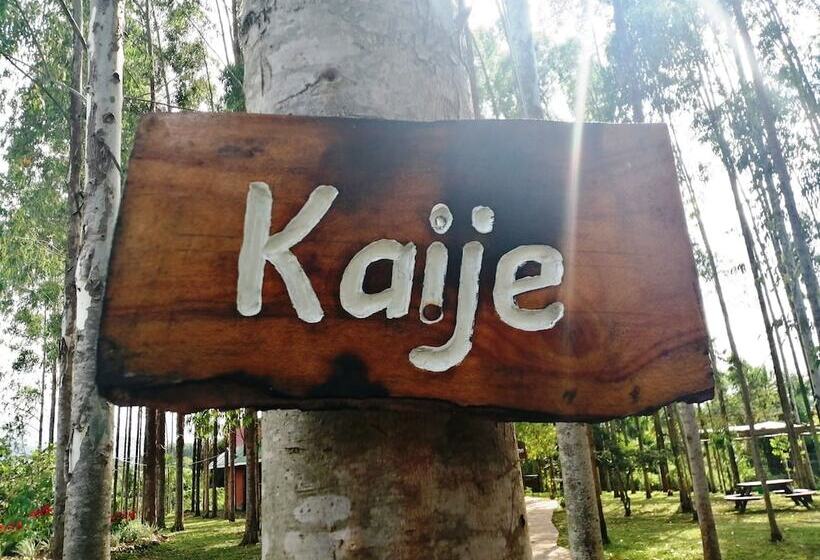 הוסטל Murchison Backpackers