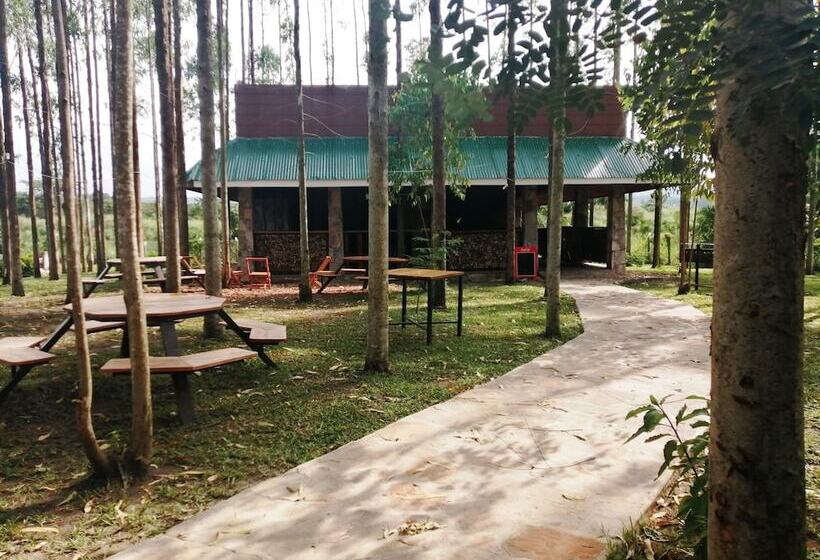 הוסטל Murchison Backpackers