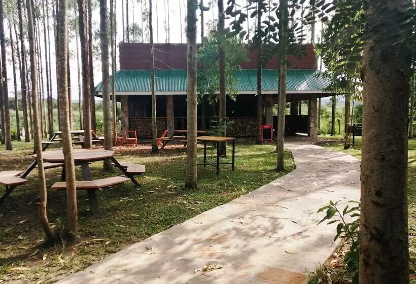 هاستل Murchison Backpackers