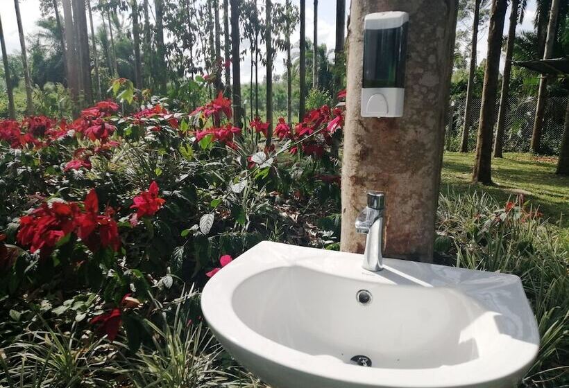 הוסטל Murchison Backpackers