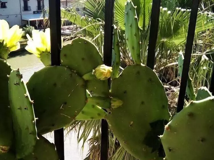 ベッドアンドブレックファースト Maison Du Canal