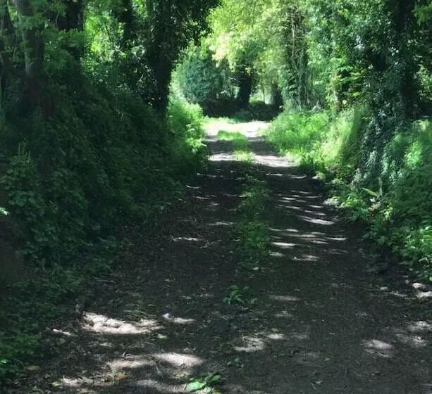 تختخواب و صبحانه Manoir De Penn Lann
