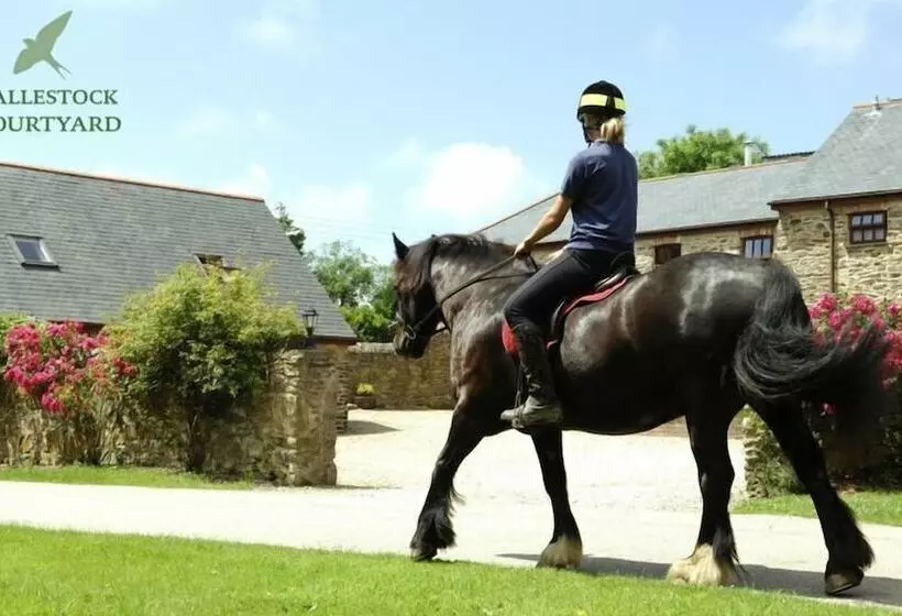 Callestock Courtyard