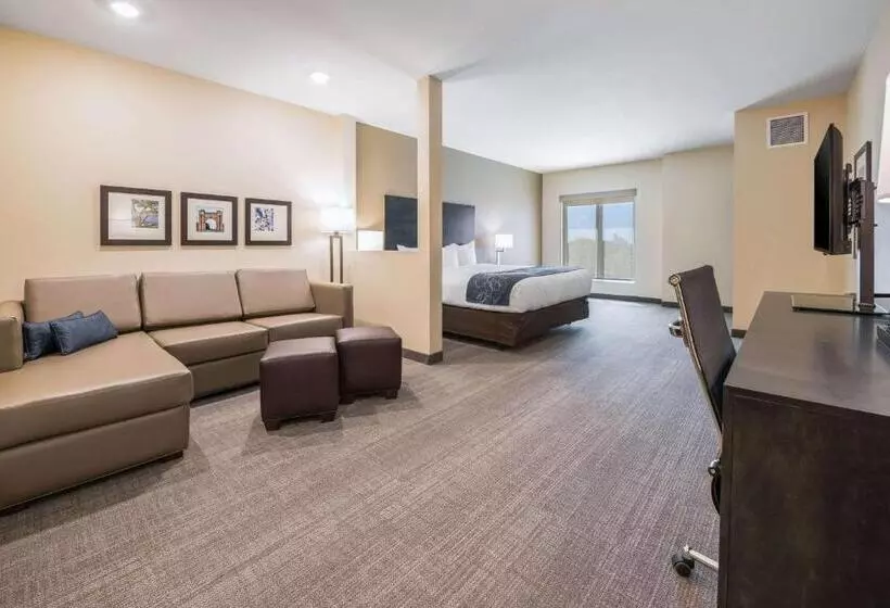 ホテル Comfort Suites Marysville Columbus  Northwest