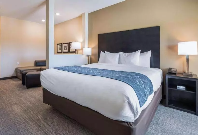 ホテル Comfort Suites Marysville Columbus  Northwest
