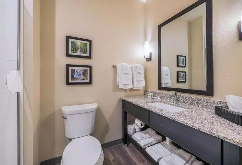 ホテル Comfort Suites Marysville Columbus  Northwest