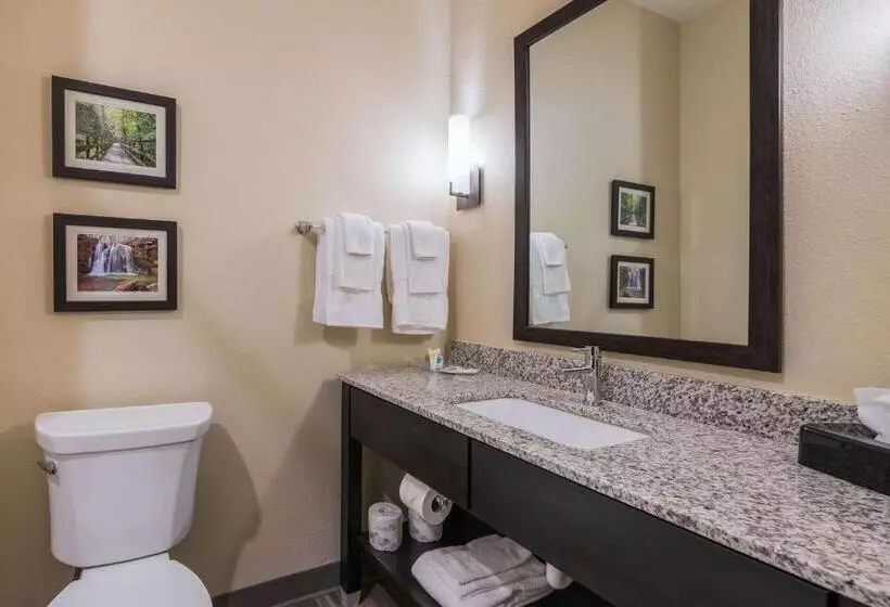 ホテル Comfort Suites Marysville Columbus  Northwest