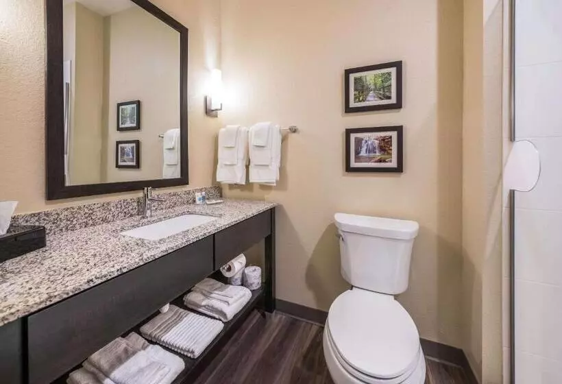 ホテル Comfort Suites Marysville Columbus  Northwest