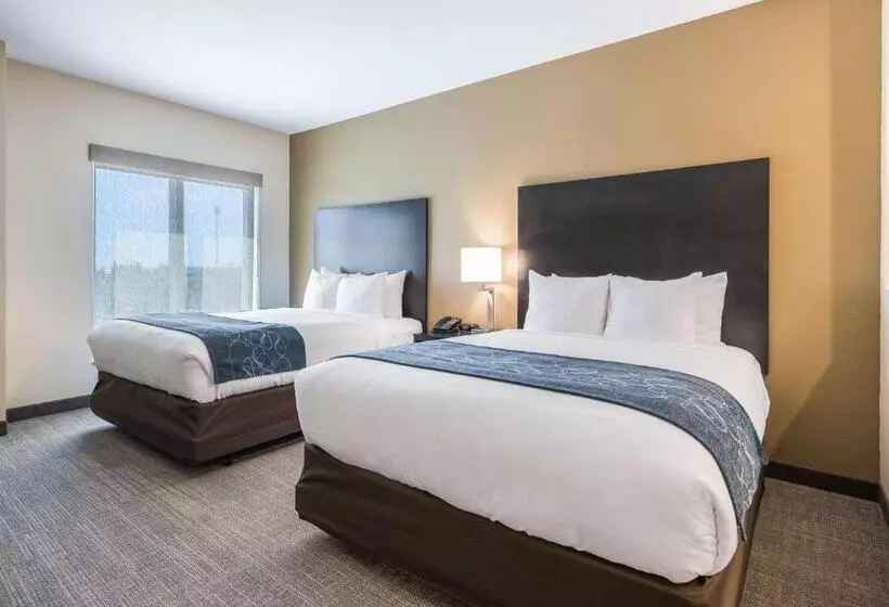 ホテル Comfort Suites Marysville Columbus  Northwest