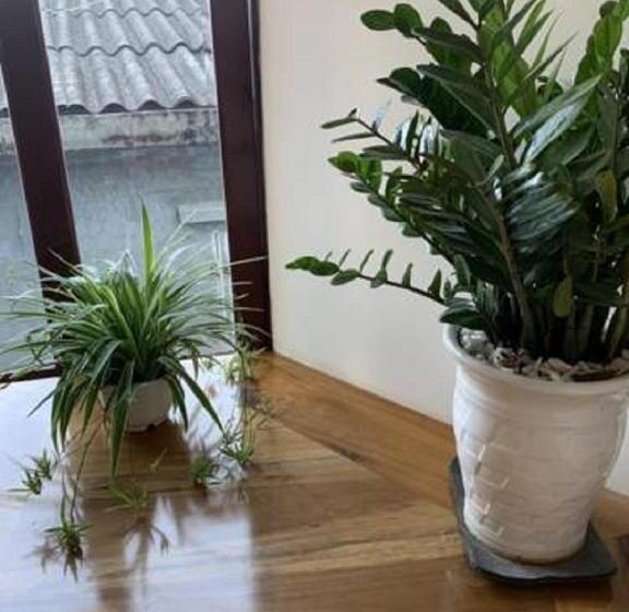 هتل Legend Connect Homestay