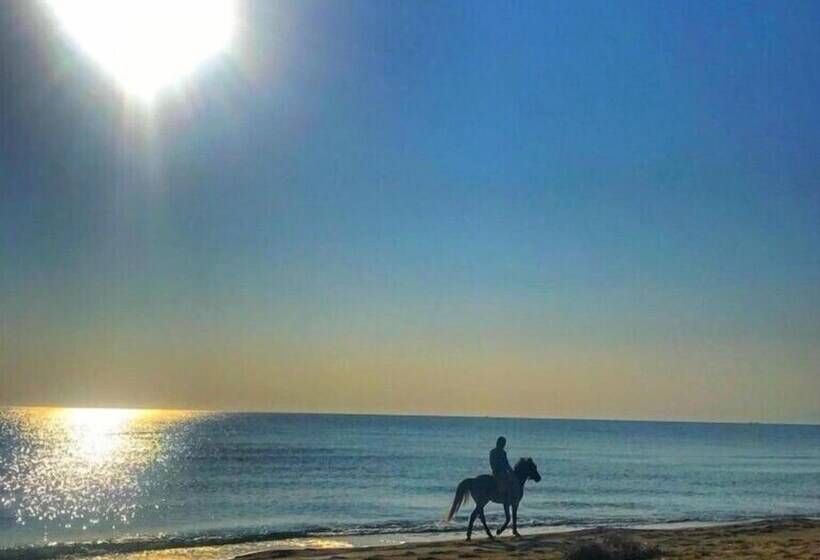 Hotel Nova Port Boutique