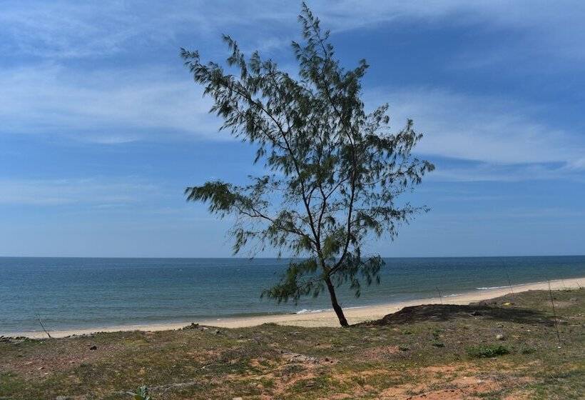 هتل Son Tra Guesthouse