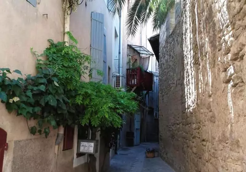 Majatalo Chambres D Hotes Molière