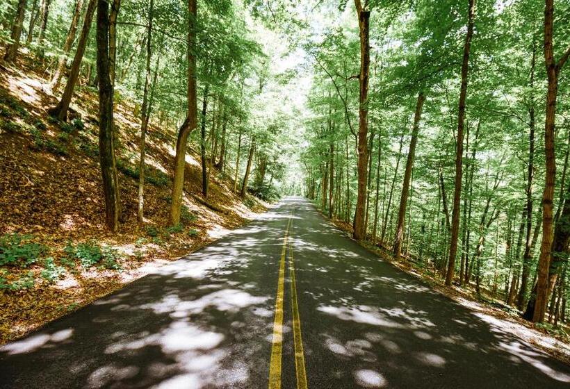 Rainbow Mountain Resort  Lgbtq Friendly