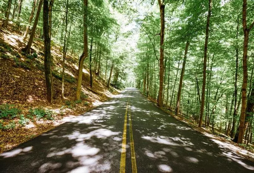 Rainbow Mountain Resort  Lgbtq Friendly