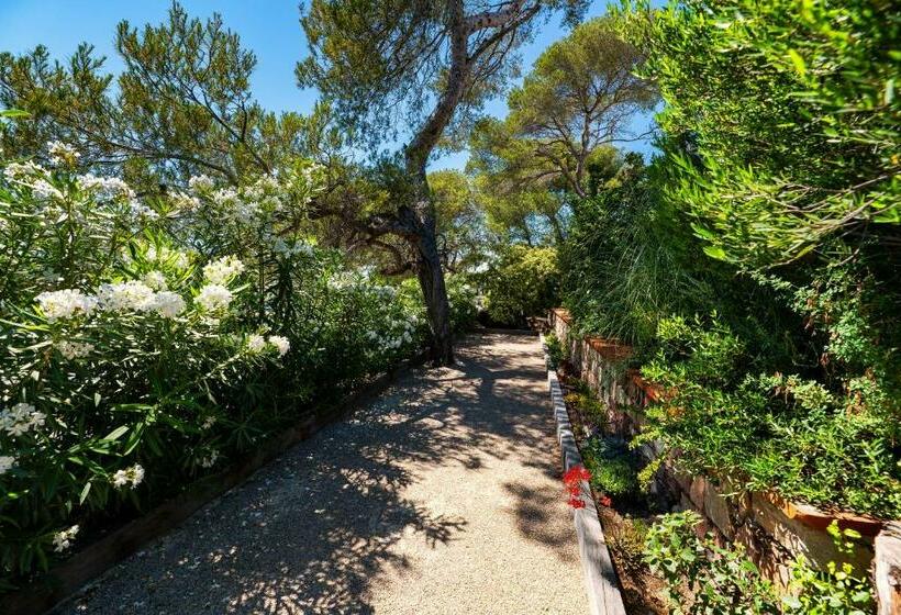 Villa Catleya Appart Hôtel