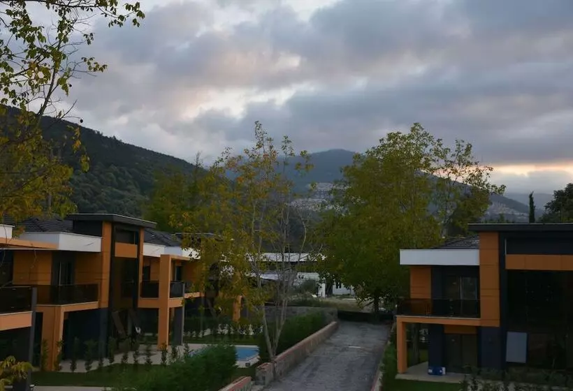 Yakut Villa