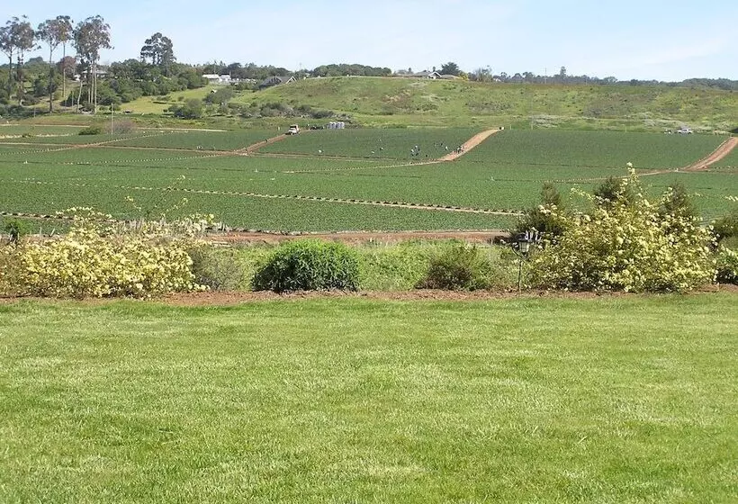 Aamiaismajoitus (B&B) Flora Vista Inn