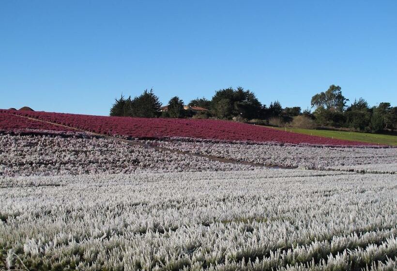민박 Flora Vista Inn