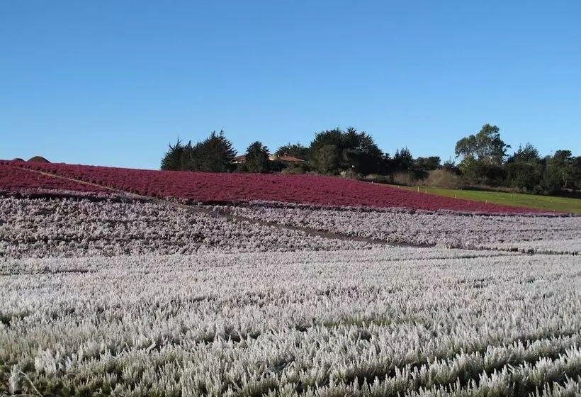 Aamiaismajoitus (B&B) Flora Vista Inn