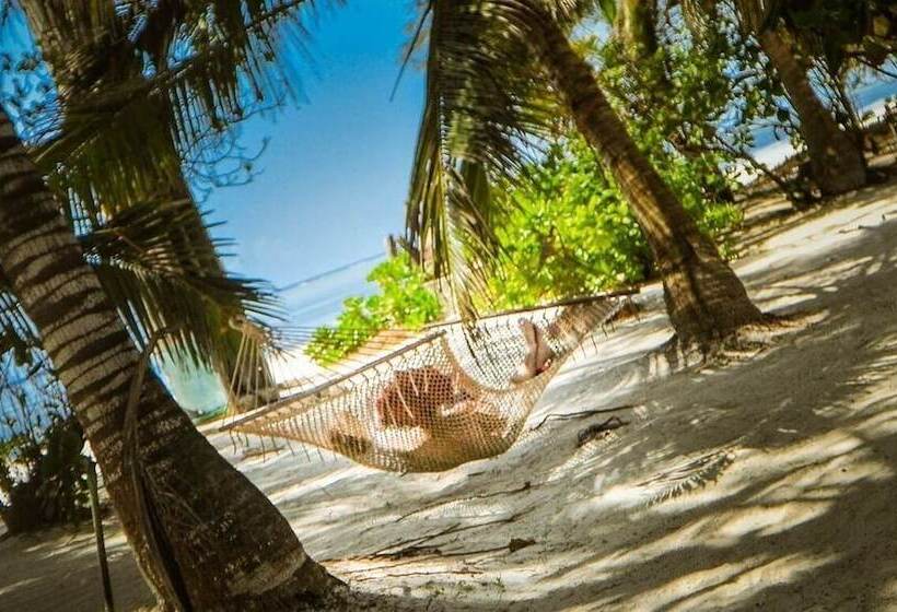 צימר Utupoaupepo