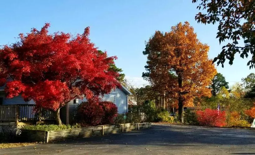 Evening Shade Inn
