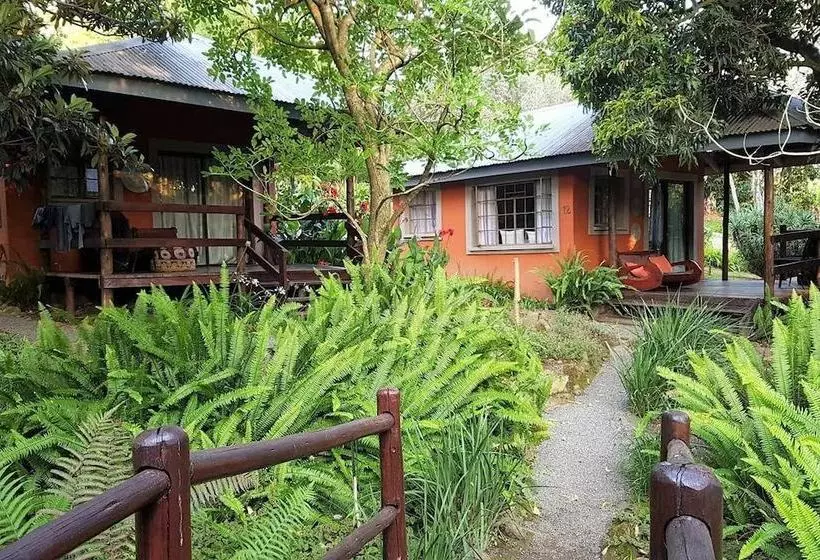 هاستل Lidwala Lodge