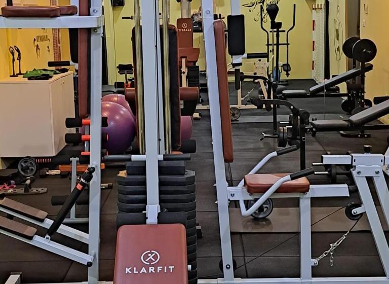 Apartments Vila Adrijana & Fitness Studio Wolf Bv