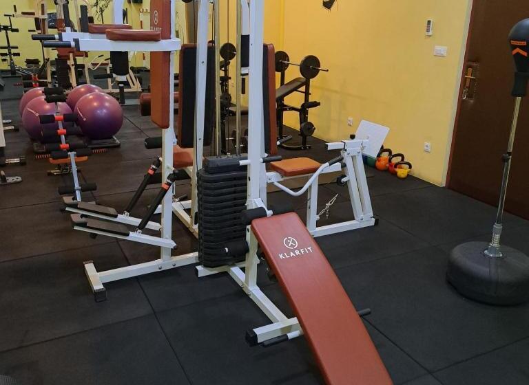 Apartments Vila Adrijana & Fitness Studio Wolf Bv