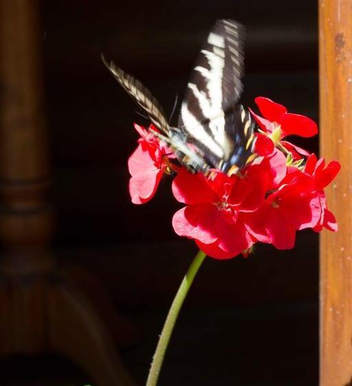 住宿加早餐  Tranquility Bay Waterfront Inn