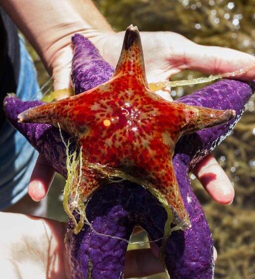 住宿加早餐  Tranquility Bay Waterfront Inn