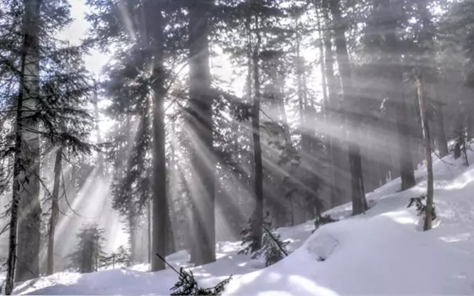 Aamiaismajoitus (B&B) Tranquility Bay Waterfront Inn