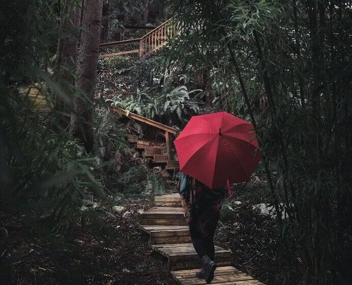 住宿加早餐  Tranquility Bay Waterfront Inn