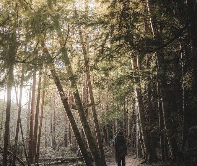 住宿加早餐  Tranquility Bay Waterfront Inn