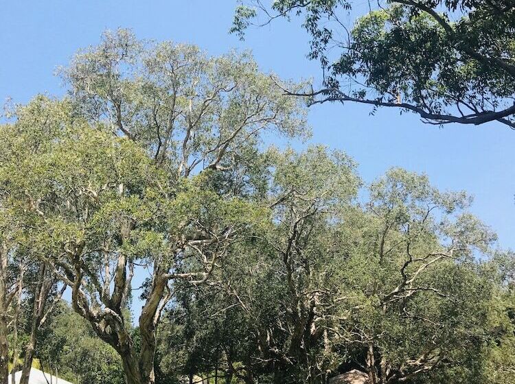 Hotel Lighthouse Beach Holiday Village