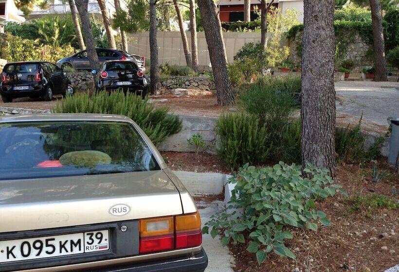 פנסיון Villa Sanja