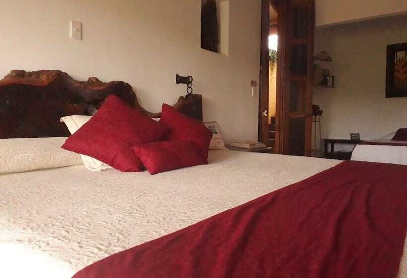 هتل Boutique La Casa Que Canta