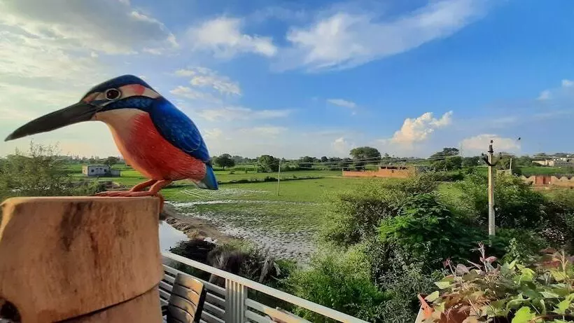 Hotelli Ibishouse Farm Stay